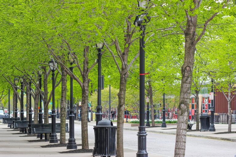 Green Infrastructure Experts: Transforming Cities with Eco-Smart Solutions green infrastructure